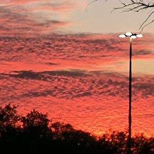 Meet your Posher, Eduardo